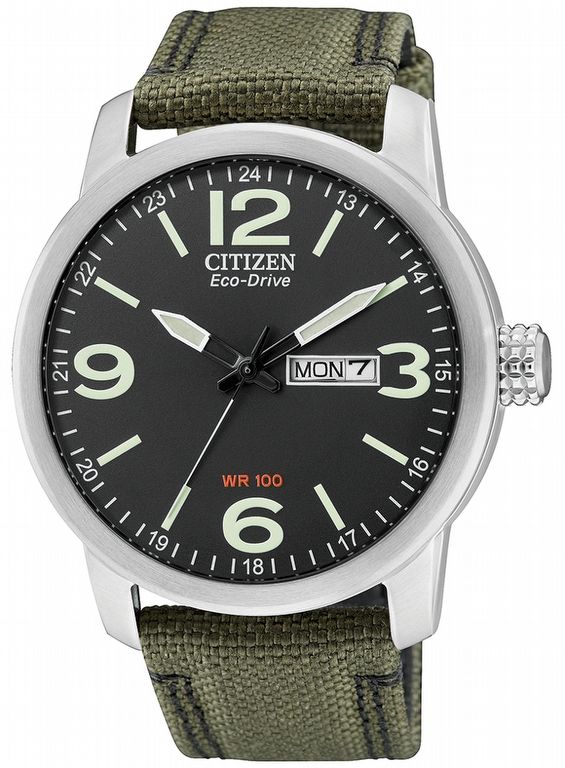 Citizen Eco-Drive BM8470-11EE - RIP