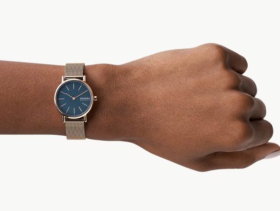 Skagen Signatur SKW2837